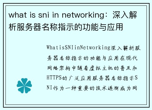 what is sni in networking：深入解析服务器名称指示的功能与应用